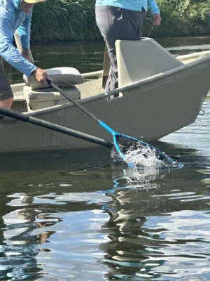 Boat Net in Action