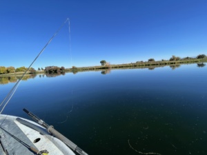 Image gallery image