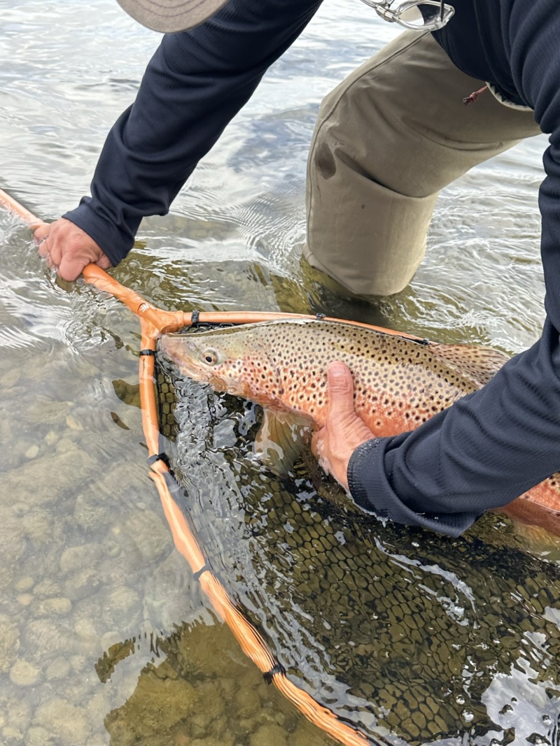 XL Boat Net in Action