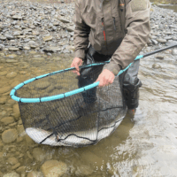 Big Water Trek Net - Image 4